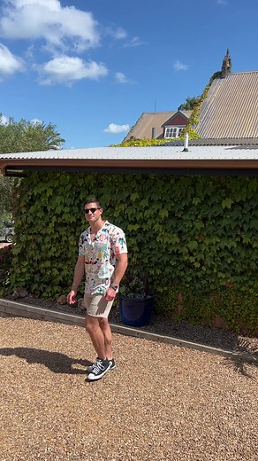 33K views · 1.3K reactions | It’s so peaceful here 殺 #vinyard #waihekeisland #newzealand #island #olivetree | Roberto Portales | Facebook