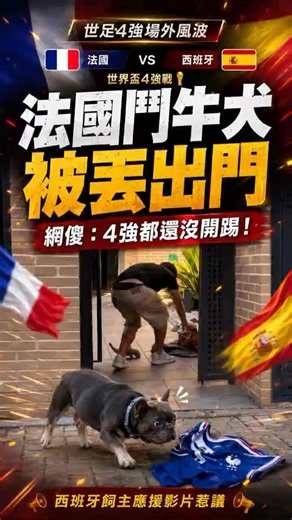 世足4強還沒踢！西班牙飼主竟先把「法國鬥牛犬」趕出家門，引爆全網怒火🔥#世界盃 #法國鬥牛犬 #法國對西班牙 #世足4強 #足球 #西班牙 #法國 #寵物話題