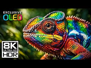 OLED Ultimate Test Video | 8K HDR Dolby Vision 120FPS Stunning Visual Demo