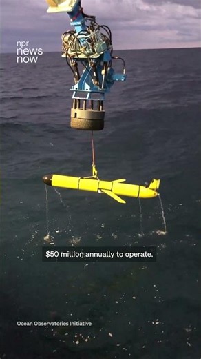 Trump administration dismantling deep-sea observation system