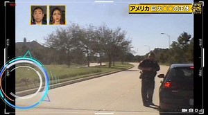A couple of years ago a spider was captured on our "dash-cam" walking across the front windshield of the police car while Officer Braly was on a traffic stop. As the spider crawled across, it gave the optical illusion that the spider was very large and was on the street heading towards him. A Japanese TV Show picked up the video a few days ago and made Officer Braly an "International Star." | Fulshear Police