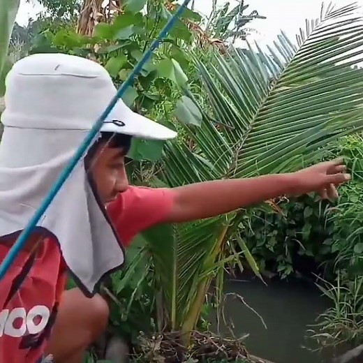 Video lucu saat memancing ikan