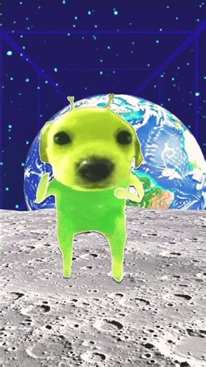 Albert finger noodle here￼