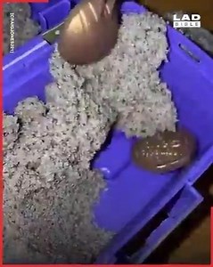 352K views · 665 reactions | It's so satisfying to watch this gold and gem mining ASMR 朗 | LADbible Australia | Facebook