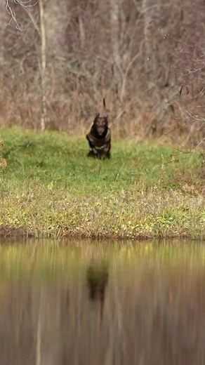 557K views · 3.5K reactions | The countdown to 2023 begins with...