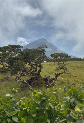 Portugal doesn’t reveal its true character on the mainland — it does so far out in the Atlantic 🌊🌋 That’s where landscapes become bolder, nature feels raw, and every island tells a completely different story. MADEIRA Sharp ridges, dramatic cliffs, and legendary trails suspended between ocean and sky. SÃO MIGUEL A land shaped by fire and water: crater lakes, geothermal springs, and deep, lush greens in every direction. FLORES Untouched and atmospheric — waterfalls pouring down emerald walls, wi