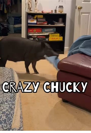 Chucky's Hilarious Antics and Howdy's Reaction