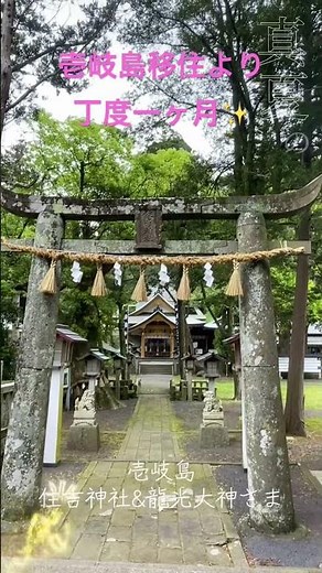 感謝してます♪長崎県壱岐市 壱岐島へ移住して丁度一ヶ月✨です。 今日は壱岐島住吉神社さまと龍光大神さまへ #だんだんよくなる未来は明るい #壱岐島住吉神社#壱岐島龍光大神さま#まるかんのお店あやせん