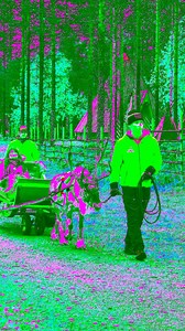 3.2K views · 2.3K reactions | Autumn magic by reindeer carriage rides in Santa Claus Village 歷 | Santa Claus Reindeer | Facebook