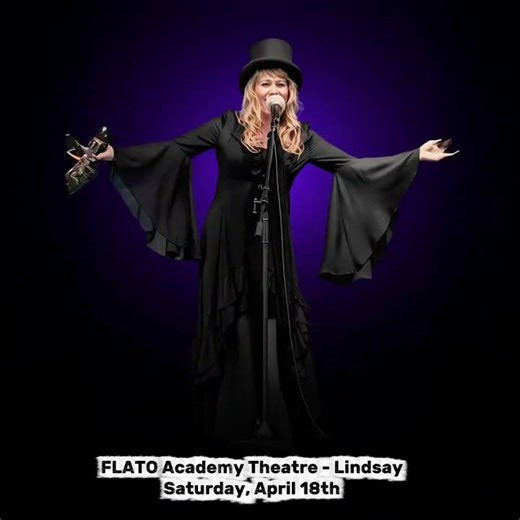 Fleetwood Mac Tribute: Go Your Own Way! 🎶✨