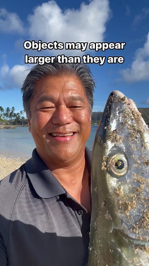 18K views · 562 reactions | Objects may appear larger than they are…though this is a fatty #hawaii #oio #fish #fishing #hawaiifishing #illusion | Erwin V. Paulino | Facebook