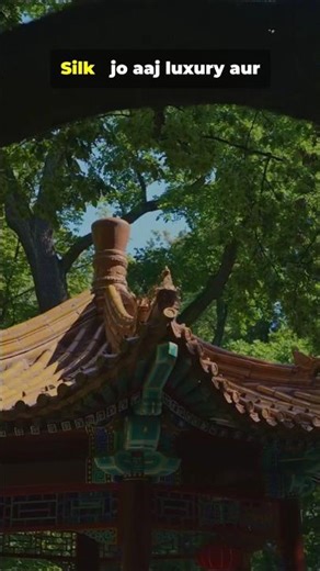 From Tea Cup to Empire: The Accidental Birth of Silk#silk #invention