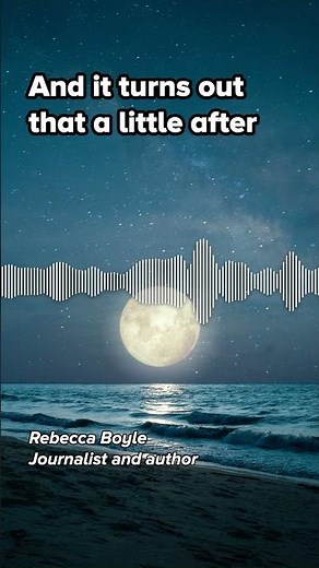 🌓 How the Moon shaped life on Earth 🌗