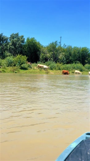 Rio Kayaking Adventure in Laredo, Texas