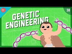 Nerdfighteria Wiki - Changing the Blueprints of Life - Genetic Engineering: Crash Course Engineering #38