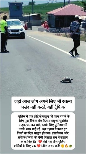 कछुए के लिए रुक गया पूरा ट्रैफिक! 🐢❤️ पुलिस की इंसानियत ने जीत लिया दिल 😭🙏 #shorts