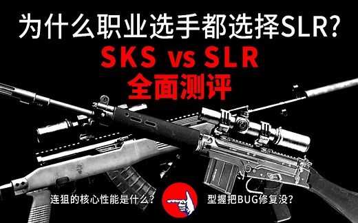 SKS/SLR全面测评，为什么职业选手都喜欢SLR？连狙的核心性能是什么？轻型bug修复没有？