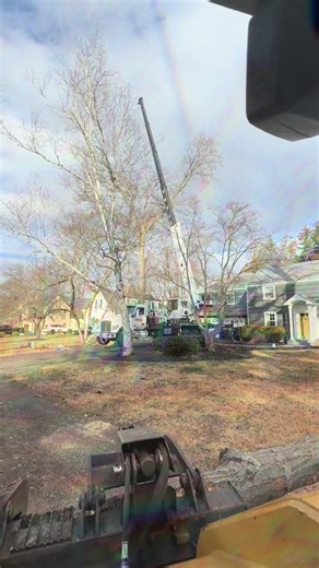 Big oak removal. #treework #treeservice #crane