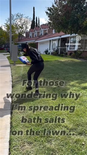 Garden Grubbs 🌱 on Instagram: "Epsom salt helps grass mainly because it’s a natural source of magnesium and sulfur, two essential nutrients for healthy plant growth. Here’s why those matter: 1. Magnesium (Mg) • Magnesium is a key component of chlorophyll, which plants use to photosynthesize and make food. • It helps your grass stay green, lush, and resilient. 2. Sulfur (S) • Sulfur improves nutrient uptake and overall plant metabolism. • It can enhance the color of your grass and help it grow m