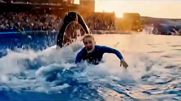 Orca Attack: Jessica Radcliffe’s Heartbreaking Final Show 🐋