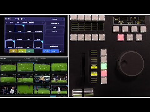 LSM-VIA 1.7 – MultiReview How to Operate