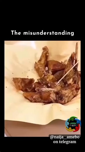 NAIJA AMEBO CONNECT COMMUNITY on Instagram: "🐶🍗 Wait for it… the moment you realize your fried chicken just got thrown away! This corgi’s priceless betrayed expression is everything! From trained tricks to unexpected kitchen chaos, you won’t stop laughing! Share with a dog lover and tag someone who needs this today! 📝 This hilarious 24-second clip of a clever corgi trained to fetch its bowl whenever it hears kitchen sounds captures a perfect mix of intelligence, timing, and pure emotion, inst