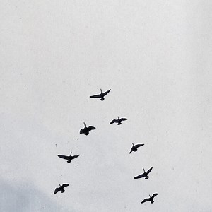 Nelly Furtado - GOD Lyrics