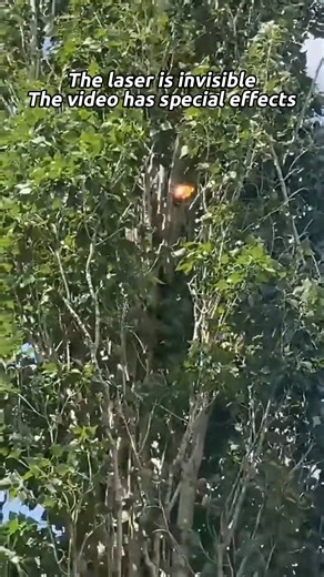 718K views · 5.1K reactions | Robot Dog + Laser Cannon = New Member of Redcoast Laser Obstacle Remover Series #Laser Obstacle Remover #Laser Tree Cutter #RedCoast Laser #Laser Cannon China | Redcoast Laser | Facebook