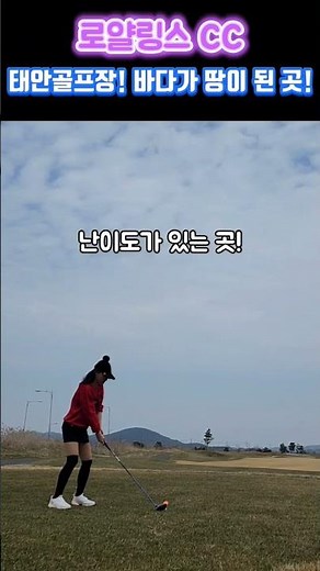 로얄링스 CC/구.현대더링스/평지라운드/조인골프#golf #골린이 #로얄링스CC