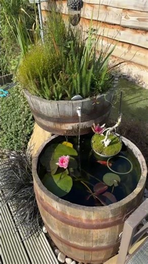 DIY Barrel Pond with Bog Filter #bogfilter #diypond #waterfall #gardenpond #pondlife