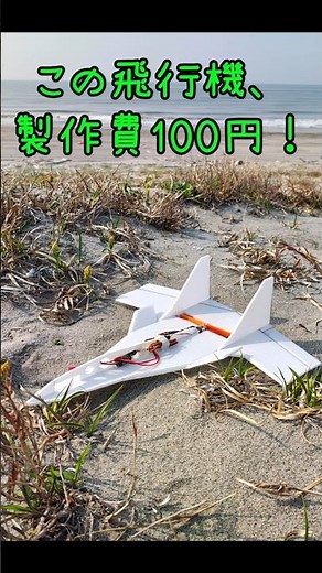 製作費100円のラジコン飛行機！ #ラジコン飛行機 #自作 #飛行機 #飛行機好き #drone #rcairplane #airplane #ドローン #100均 #100均diy