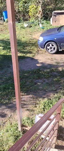 15K views · 65 reactions | ასეთი ჩამოუყალიბებელი რატო ხართ郎 | Dodge Neon Klub Georgia | Facebook