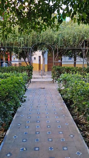 A walk with peace in every footstep through the historic old town city heart of Seville, Andalusia, Spain. Seville is a Must-See city that is famous for its blend of historic authenticity and modern creativity. It is known for its Moorish palaces, vibrant atmosphere, rich history, and modern artistic and cultural scenes. #cultureheritage #CulturalHeritage #touristattraction #walking #spain #tour #europe #seville #spain | Walking Tour