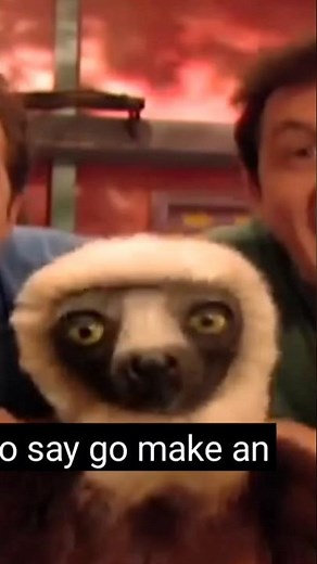 ZOBOOMAFOO ANIMAL FRIEND SONG