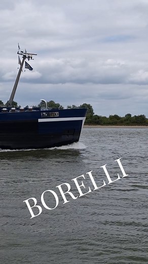 Gespot op de Waal: het motorvrachtschip Borelli. De Borelli (ENI 02331952) is een modern containerschip. Het werd in 2009 gebouwd als Bontekoe, meet 110 meter in lengte en 11,45 meter in breedte, heeft een laadvermogen van 3.228 ton en kan 208 TEU vervoeren. #mcs_Borelli #Motorvrachtschip #Waal #RivierWaal #Containerschip #Binnenvaart #Beroepsvaart #Containervervoer #Logistiek #ScheepvaartNederland #TEU | Binnenvaartspotter.nl