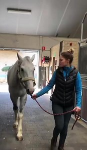 32K views · 626 reactions | Equitom invested in a highly advanced...