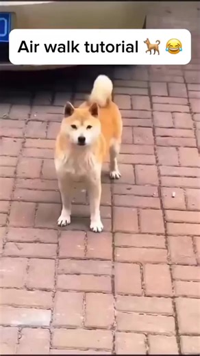 Airwalk Dance Trend: How to Master the Moves