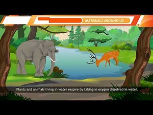 Ch 6 | Science | Class 6 | Materials Around Us | For children