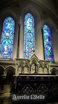Aurelia Odette | L'amour Toujours (The Penguin) Organ arrangement | St Patrick’s Cathedral - Dublin