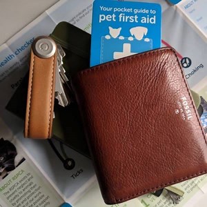 If something happened to your pet, you might have only minutes to help. Have the confidence to act when it really matters. RSPCA's FREE Pet First Aid Guide fits right into your wallet so you can keep it close by. | RSPCA Victoria