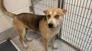 5.3K views · 679 reactions | 7/13-Apologies for the very late delay!...