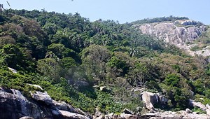 Pe aici nu se trece. Nu există alt loc pe Pământ unde concentrația de șerpi veninoși e mai mare