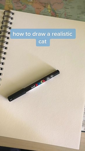 How to Draw Realistic Cats | Step-by-Step Guide