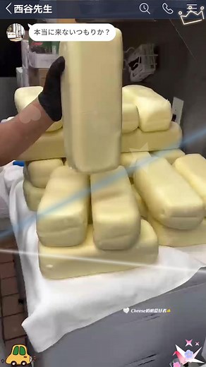 Cheese Making Process: Step-by-Step Guide