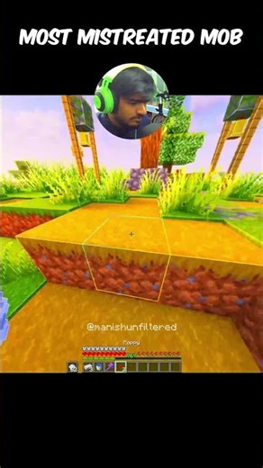 Most Mistreated Minecraft Mob #shorts