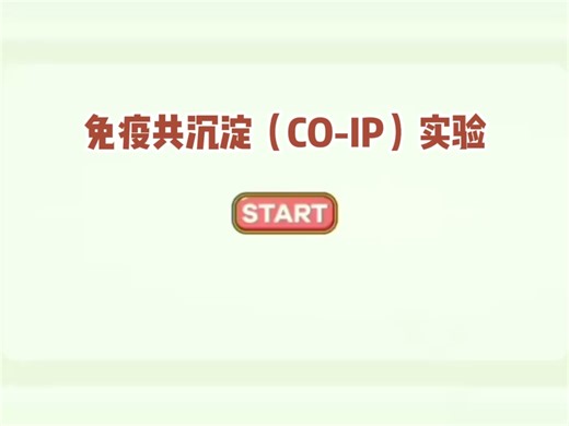 分享 | 免疫共沉淀(Co-lP)实验（下集）