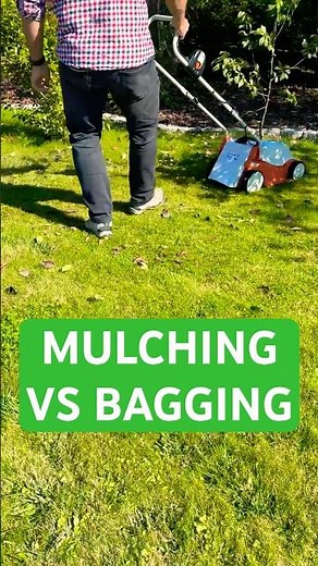Mulching vs. Bagging Leaves: Best Fall Lawn Tip