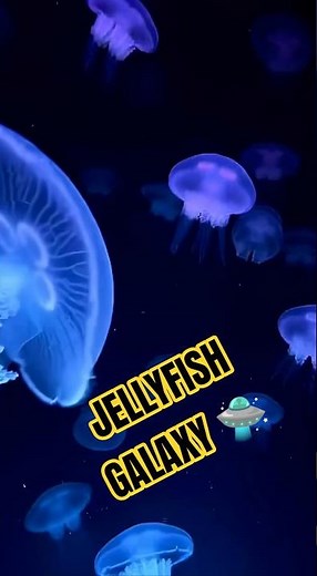 Jellyfish Galaxy – Glowing Jellies in the Dark | Ocean Life Cam #shorts