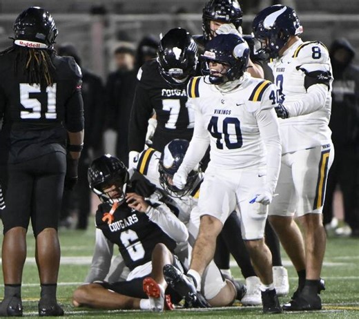 3 WPIAL teams to play for PIAA football championships | Trib HSSN