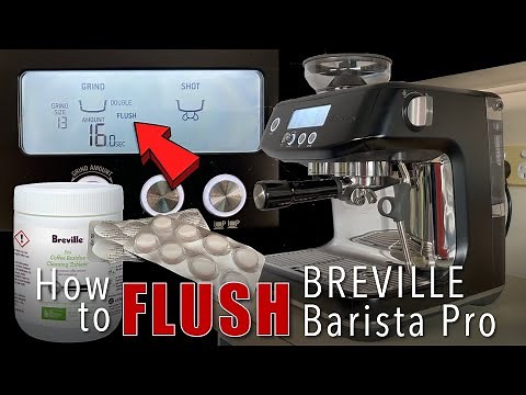 How to Flush Breville Barista Pro | Sage Barista Pro | ASMR | kape atbp.
